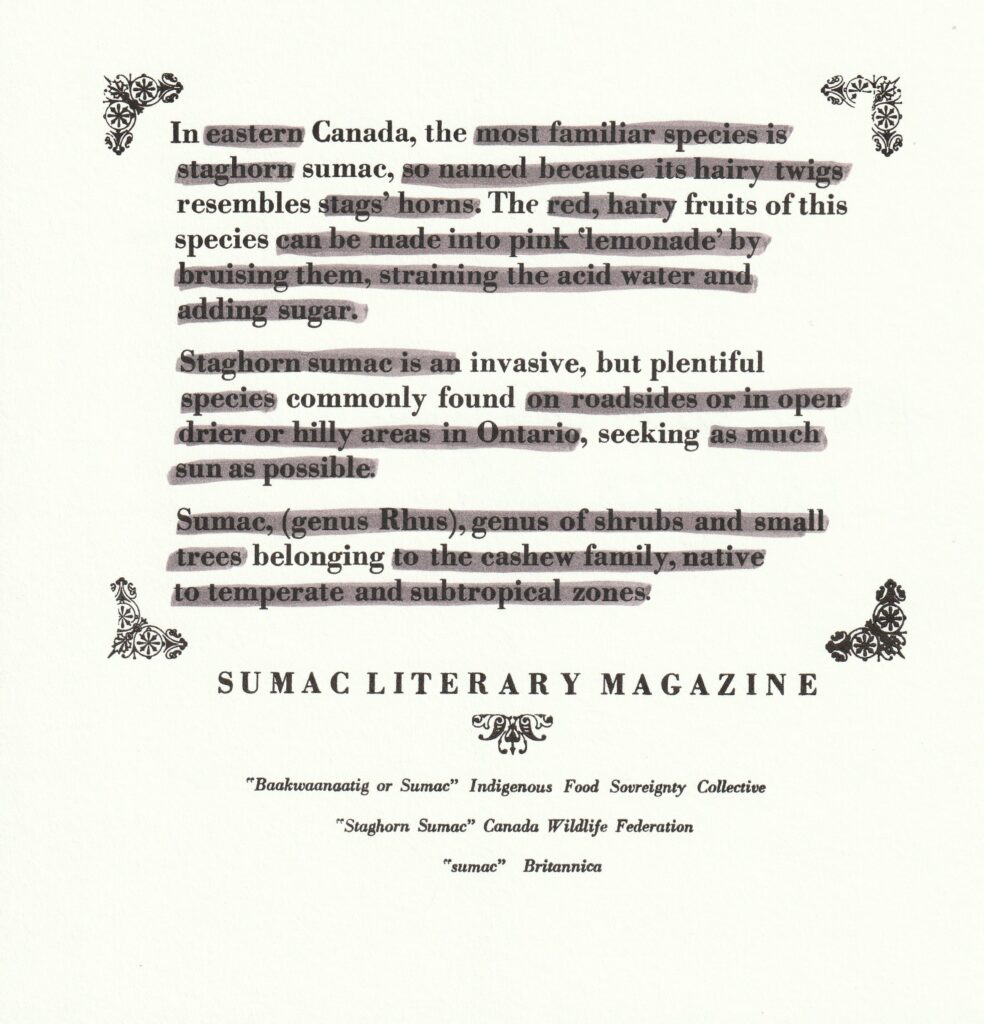 On a white square paper, black text printed in a serif font is incased in square made from decorative art-nouveau-style ornaments in four corners. Inside, the text are quotes from three different sources (which are listed at the bottom of the broadside); a grey marker was used to black out some of the text, creating a found poem from the original text. The text is visible underneath the marker. The text reads: "In eastern Canada, the most familiar species is staghorn sumac, so names because its hairy twigs resembles stags' horns. The red, hair fruits of this species can be made into pink 'lemonade' by bruising them, straining the acid water and adding sugar. [New paragraph] Staghorn sumac is an invasive, but plentiful species commonly found on roadsides or in open drier or hilly areas in Ontario, seeking as much sun as possible. [New paragraph] Sumac, (genus Rhus), genus of shrubs and small trees belonging to the cashew family, native to temperate and subtropical zones." After the blacked-out text, the found poem that remains reads: "In Canada, the / sumac / resembles the fruits of this / species / invasive, but plentiful / commonly found / seeking / belonging." Below the text readers "Sumac Literary Magazine" in all caps. There is a decorative ornament that seperates that text from the source references. The references read: "'Baakwaanaatig or Sumac' Indigenous Food Sovereignty Collective," "'Staghorn Sumac' Canada Wildlife Federation," and "'sumac' Britannica."