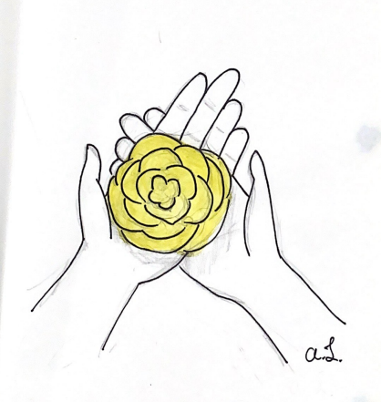 A Yellow Carnation